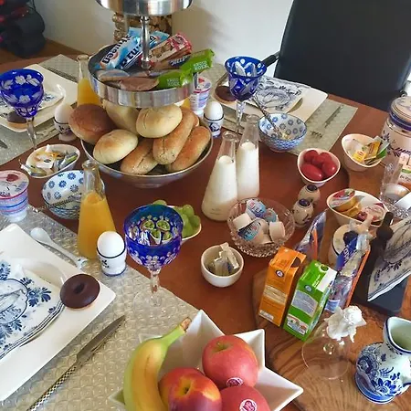 Blue Dreams Bed & Breakfast Delft