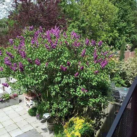 Blue Dreams Bed & Breakfast Delft